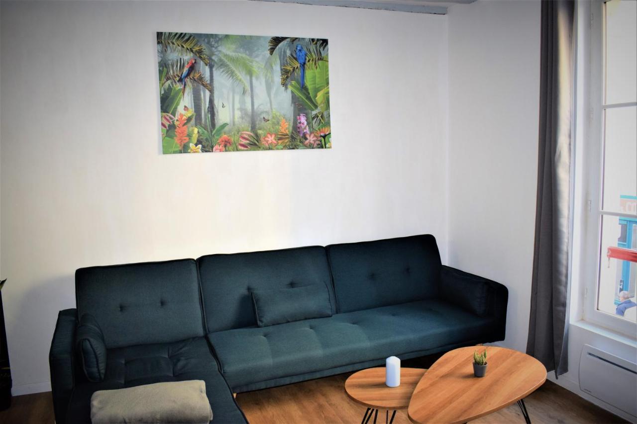Gite Le Nid Des Zoo Zio, 5Mn Beauval, Appartement Terrasse Centre-Ville Сент-Эньян Экстерьер фото