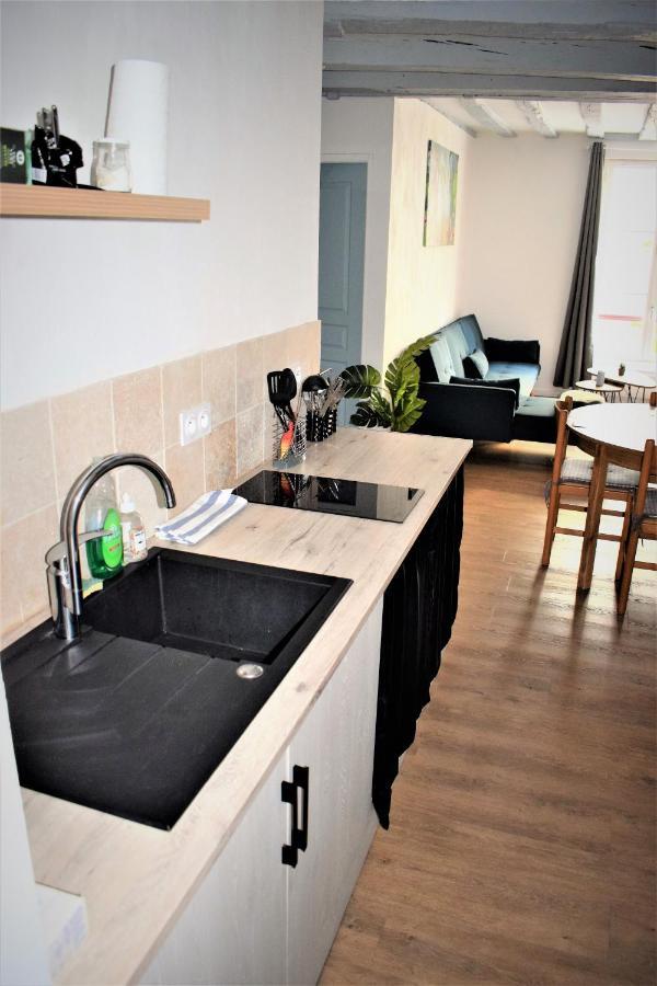 Gite Le Nid Des Zoo Zio, 5Mn Beauval, Appartement Terrasse Centre-Ville Сент-Эньян Экстерьер фото