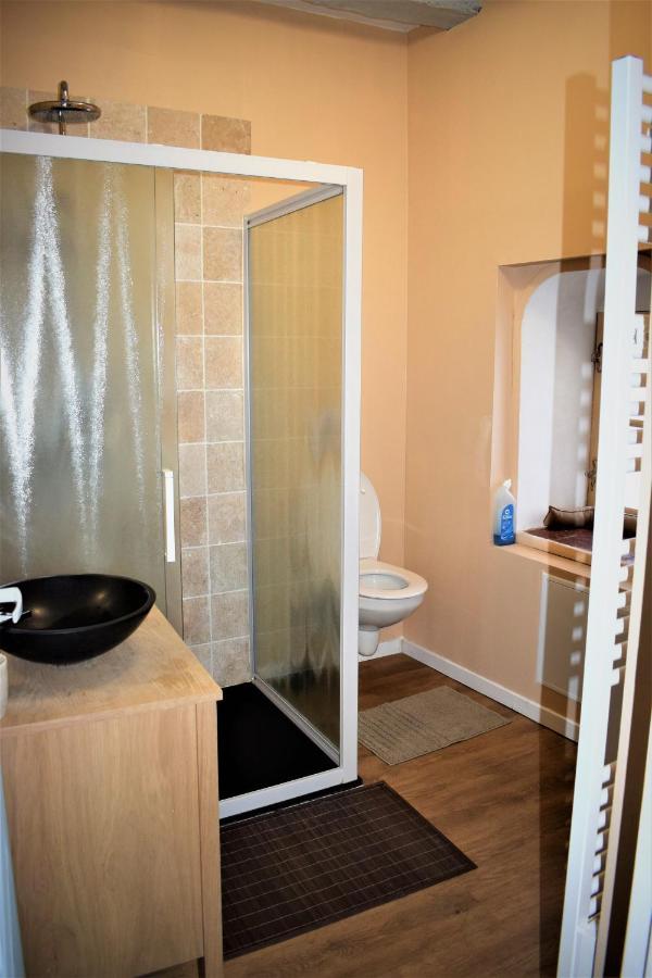 Gite Le Nid Des Zoo Zio, 5Mn Beauval, Appartement Terrasse Centre-Ville Сент-Эньян Экстерьер фото